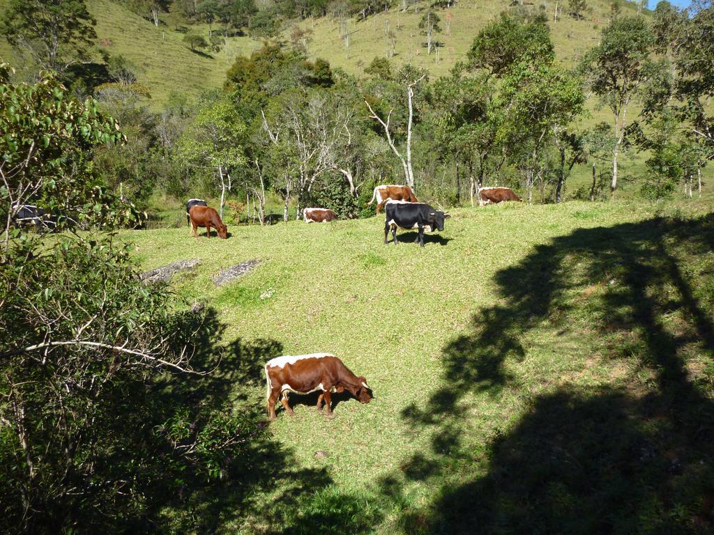 Apartamento Ferias Fazenda Usina 1 Bocaina de Minas Exteriér fotografie
