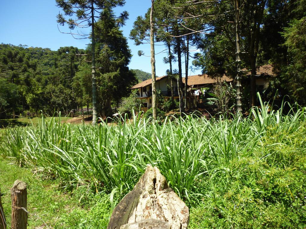 Apartamento Ferias Fazenda Usina 1 Bocaina de Minas Exteriér fotografie