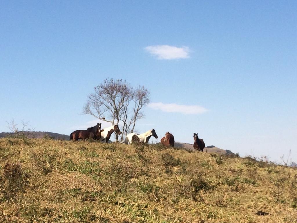 Apartamento Ferias Fazenda Usina 1 Bocaina de Minas Exteriér fotografie