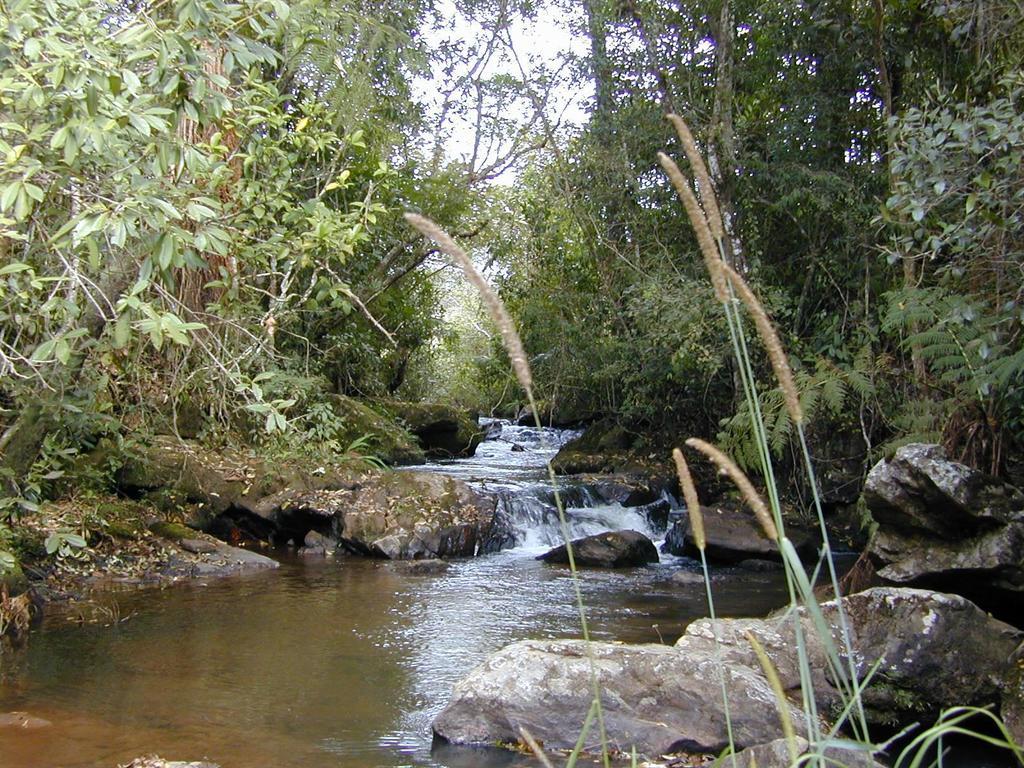 Apartamento Ferias Fazenda Usina 1 Bocaina de Minas Exteriér fotografie