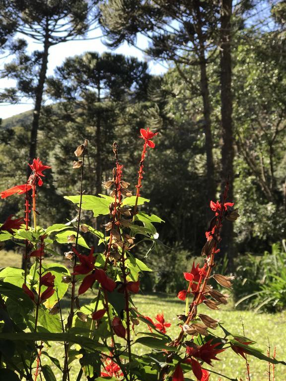 Apartamento Ferias Fazenda Usina 1 Bocaina de Minas Exteriér fotografie