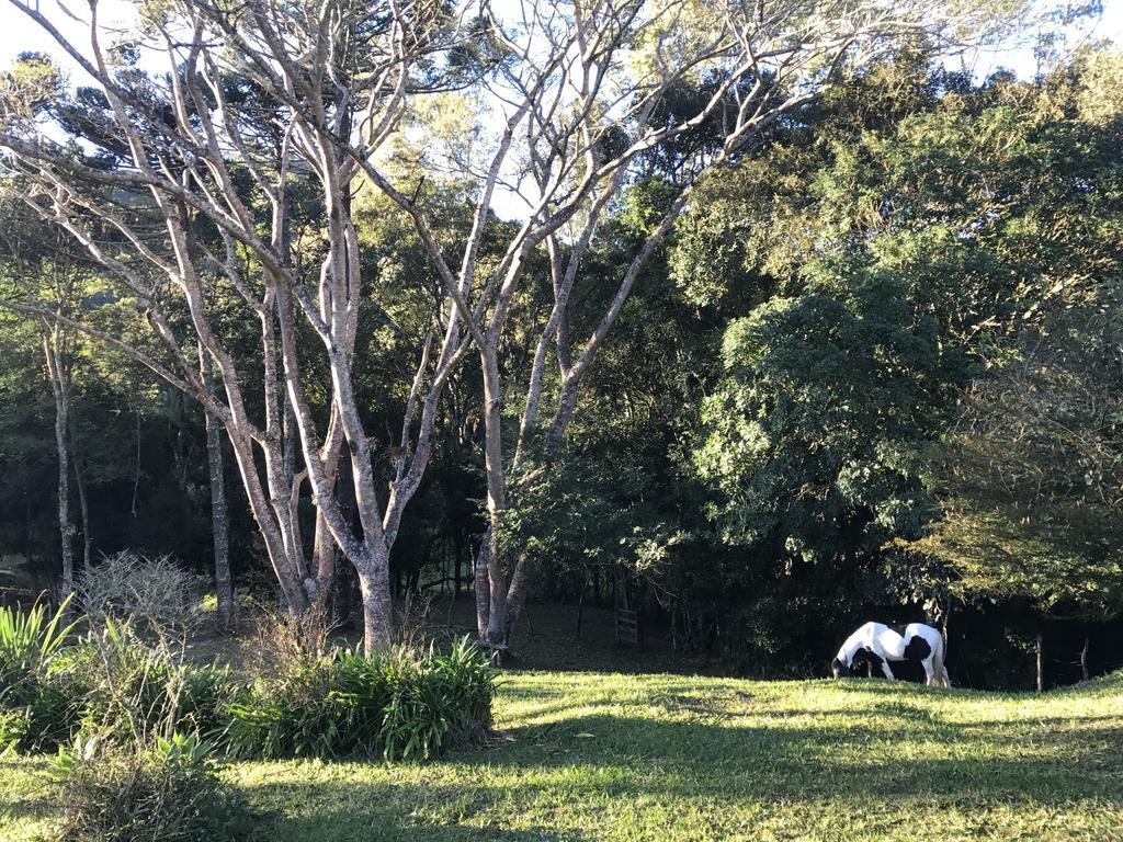 Apartamento Ferias Fazenda Usina 1 Bocaina de Minas Exteriér fotografie